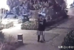 砀山吃瓜事件爆料视频播放,视频爆料揭示惊人真相