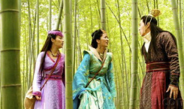 电视剧灵珠,穿越时空的奇幻之旅