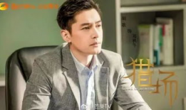 电视剧胡歌,从青涩少年到演技巅峰的蜕变之路