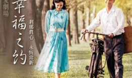 台湾电视剧幸福之约,台湾情感剧的温馨演绎